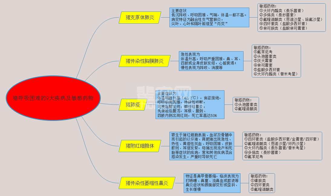 【图说】引起猪呼吸困难的9大疾病及敏感药物的选择！下载可收藏