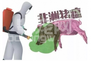 非洲猪瘟防控明白纸来了！养殖户防控非洲猪瘟心不慌！