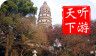 虎丘导游logo图