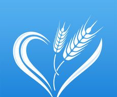 瑞麦医生logo图