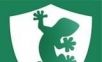 壁虎浏览器logo图