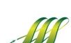 龙泉掌上公交logo图