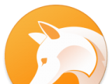 猎狐浏览器logo图