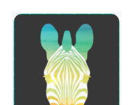 趣行斑马logo图
