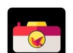 凤凰相机logo图