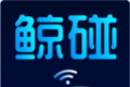 鲸碰logo图