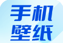 壁纸无忧logo图