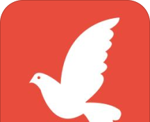 雅鸽logo图