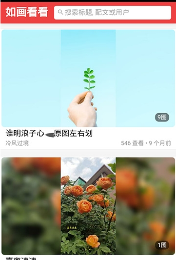 如画看看