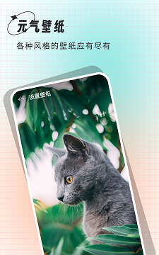 克拉壁纸