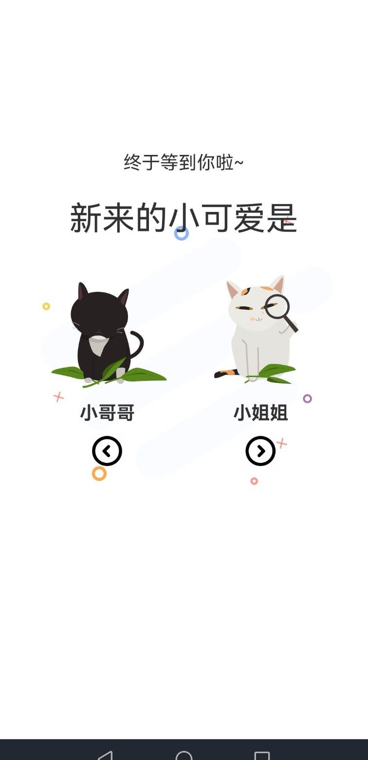 喵上二次元