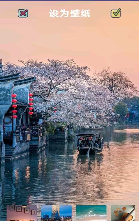 番茄壁纸