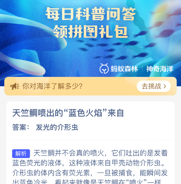 天竺鲷喷出的蓝色火焰来自
