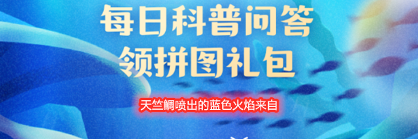 天竺鲷喷出的蓝色火焰来自