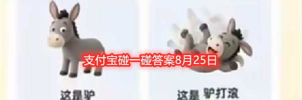 支付宝碰一碰答案8月25日