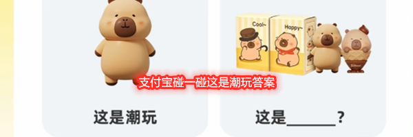 支付宝碰一碰这是潮玩答案