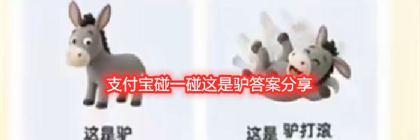 支付宝碰一碰这是驴答案分享