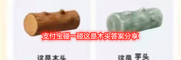 支付宝碰一碰这是木头答案分享