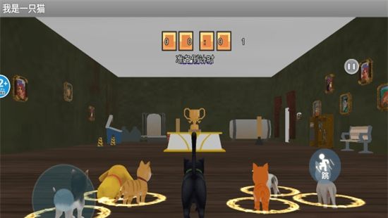 我是一只猫游戏官方正版手机版