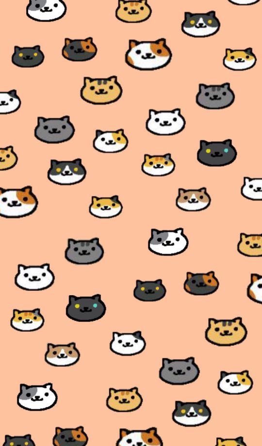 猫咪后院壁纸