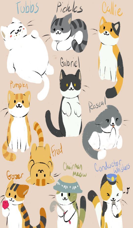 猫咪后院壁纸