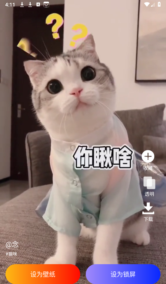 图图免费壁纸