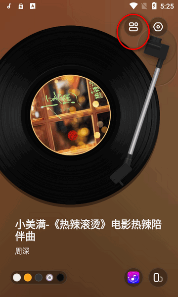 谜底黑胶