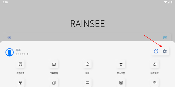 Rains浏览器旧版本
