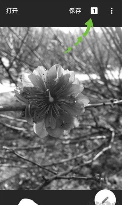 Snapseed官方正版