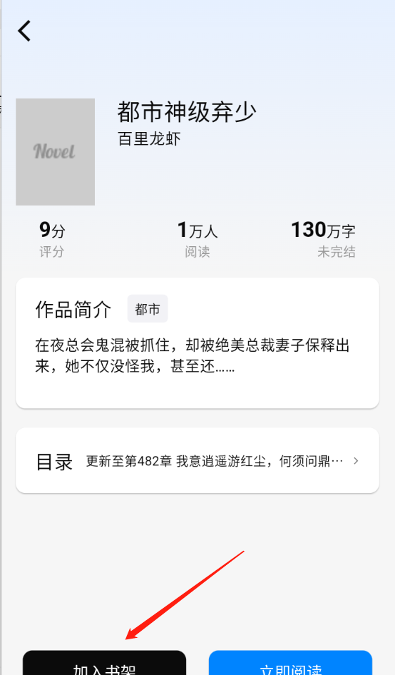 海鸥小说