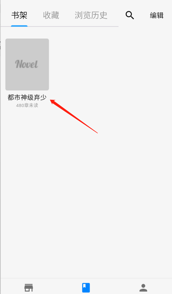 海鸥小说