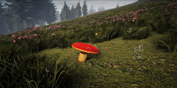 《Forager's Finds》demo