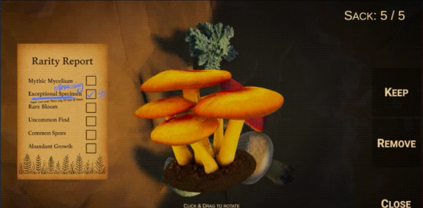 《Forager's Finds》demo