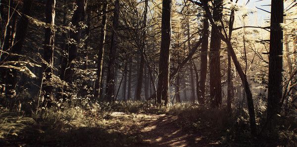 《布莱尔女巫》官方版