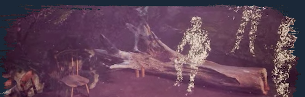 《莫拉之声》demo