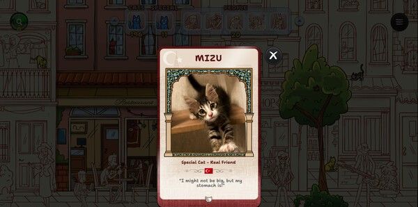 《隐藏在伊斯坦布尔的猫》免安装版