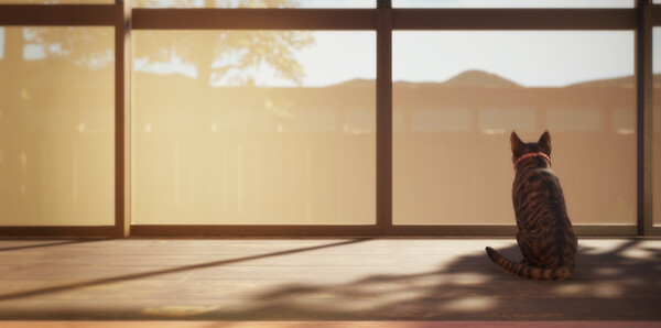 《猫还在逃吗?》官方版