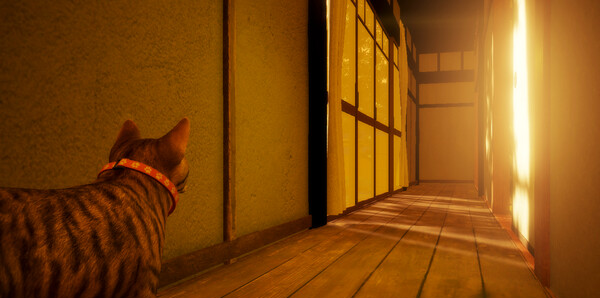 《猫还在逃吗?》官方版