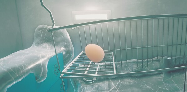 《鸡蛋历险记》官方版