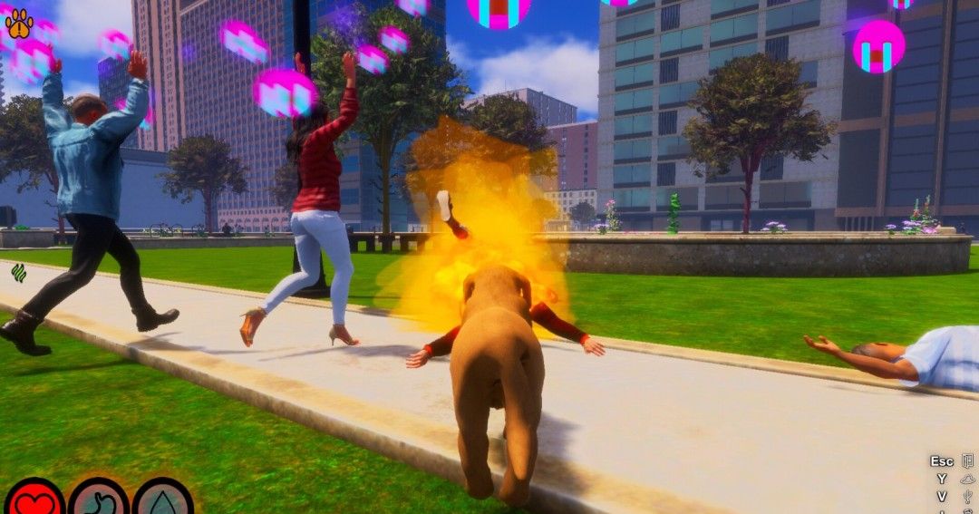 《Lost Paws》官方版